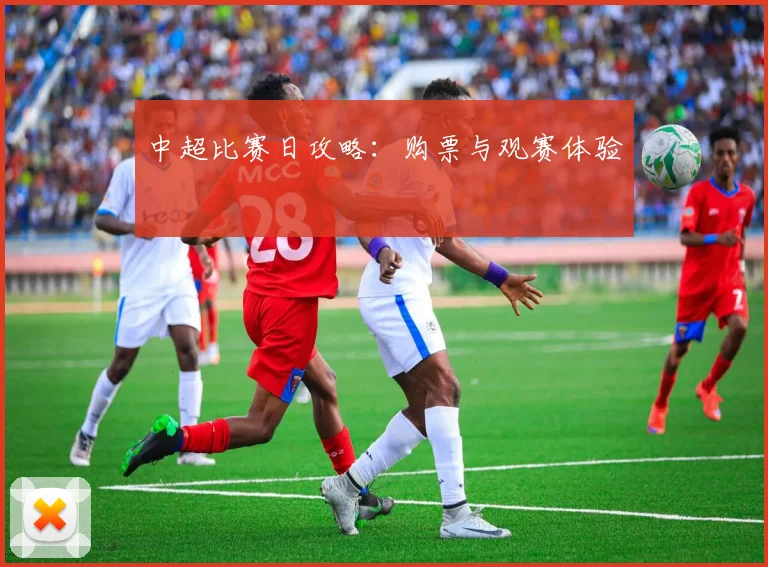 中超比赛日攻略:购票与观赛体验