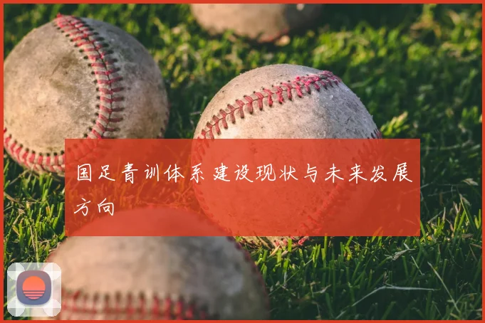 国足青训体系建设现状与未来发展方向