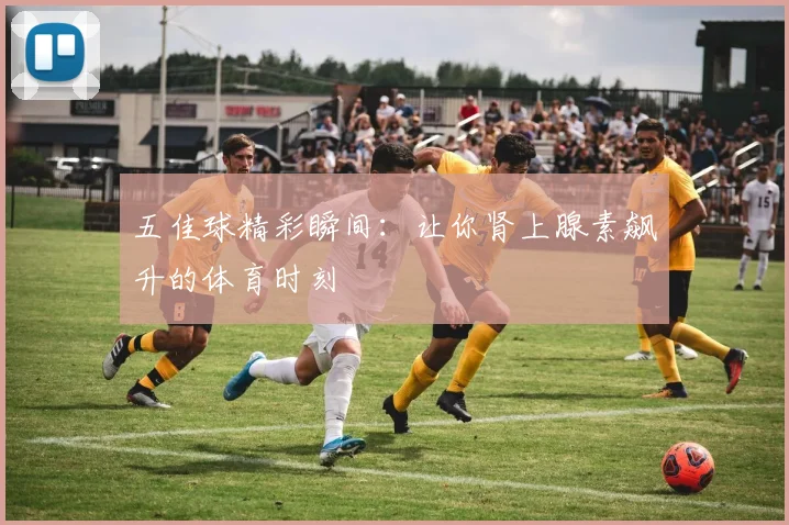 五佳球精彩瞬间:让你肾上腺素飙升的体育时刻