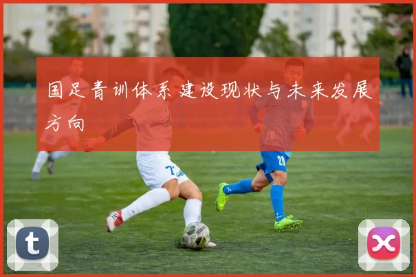 国足青训体系建设现状与未来发展方向